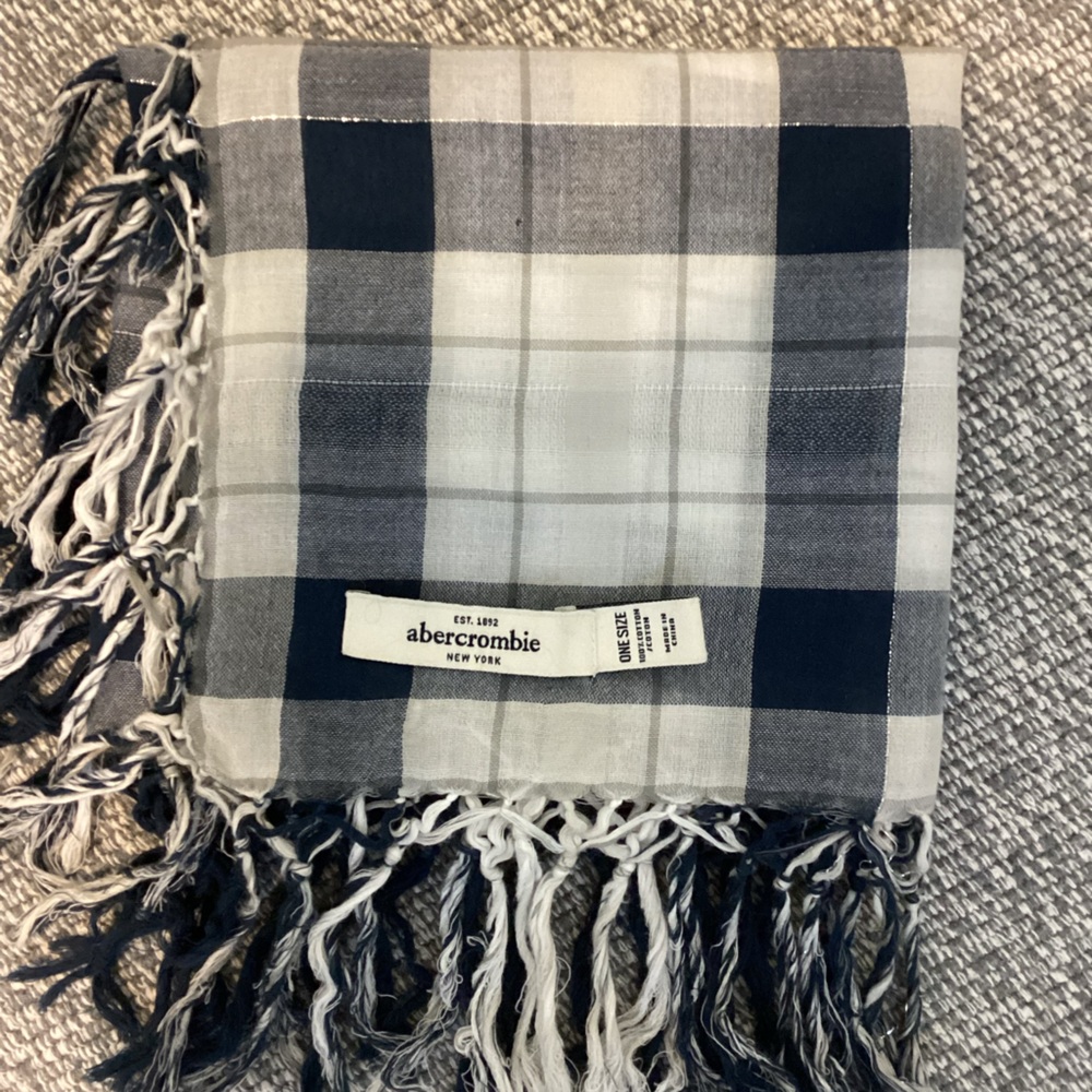 Abercrombie & Fitch Blue and Gray Checkered Scarf